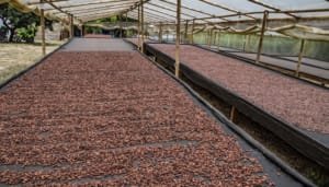 Huila busca el impulso de más proyectos agropecuarios