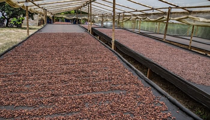 Huila busca el impulso de más proyectos agropecuarios