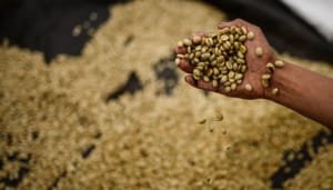Un año de acciones por el agro huilense