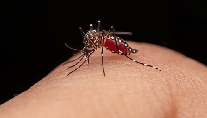 Emergencia en salud pública frente al dengue en el Huila