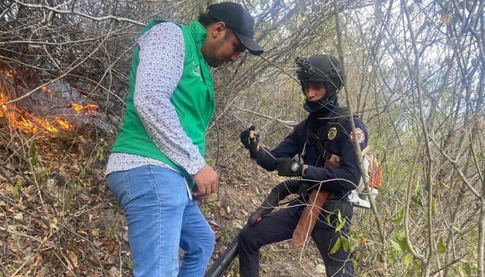 La defensa de la fauna huilense en medio de los incendios