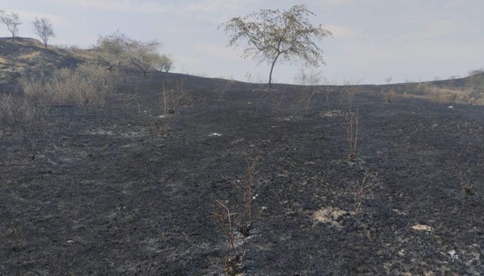 Actual situación de incendios forestales en el Huila