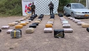 Incautación de marihuana en zona rural de La Plata