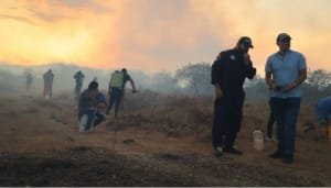 Así está la situación en Neiva con los incendios forestales