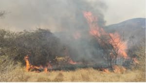 Preocupación en la CAM por los incendios forestales en el Huila
