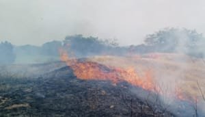 Reforzamiento militar para controlar incendios
