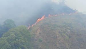 Puesto de Mando Unificado para afrontar incendios forestales