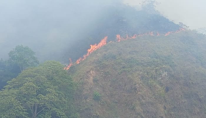 Puesto de Mando Unificado para afrontar incendios forestales
