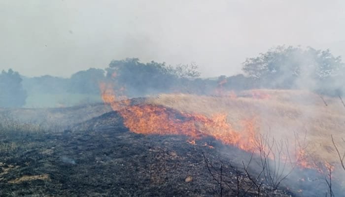 Reforzamiento militar para controlar incendios