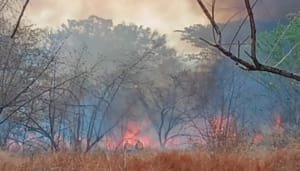 Preocupante cifra de incendios atendidos en Neiva