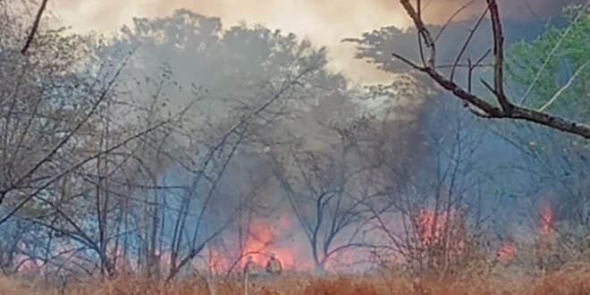 Preocupante cifra de incendios atendidos en Neiva