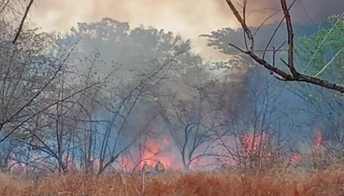 Preocupante cifra de incendios atendidos en Neiva