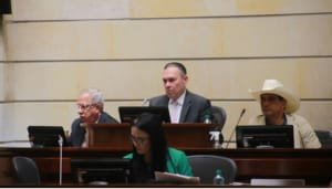 Senado trató el proyecto del Día sin IVA