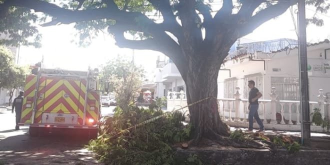 Activo fin de semana para los bomberos en Neiva