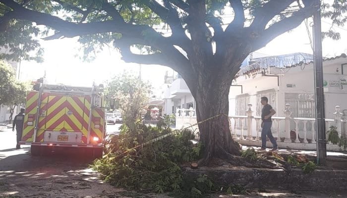 Activo fin de semana para los bomberos en Neiva