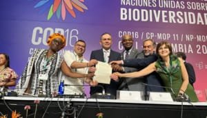 Senadores colombianos dijeron presente en el COP 16