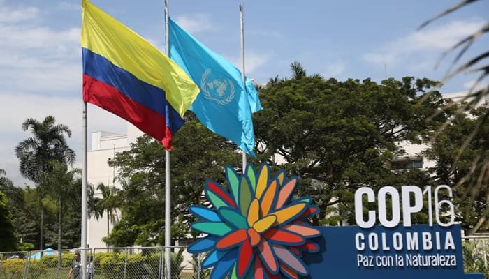 Bandera de la ONU ya está en la zona azul de la COP 16
