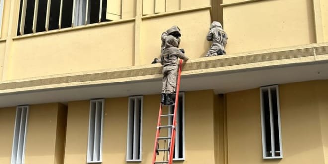 Sigue la alerta en el centro de Neiva por presencia de abejas