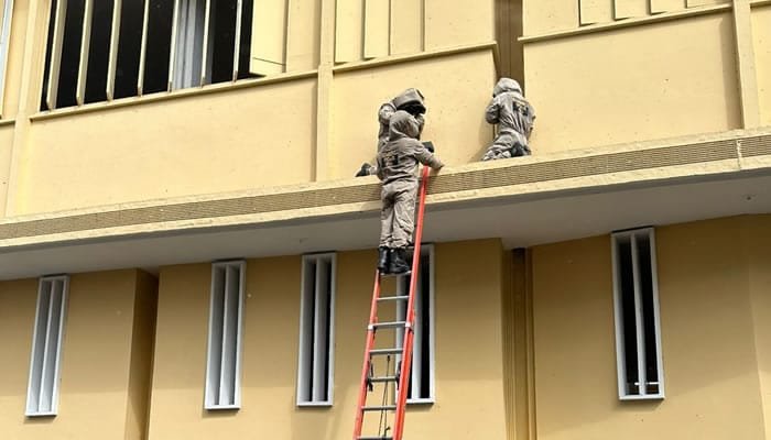 Sigue la alerta en el centro de Neiva por presencia de abejas