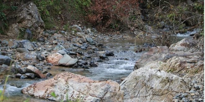Entregado proyecto para preservar cuencas hidrográficas