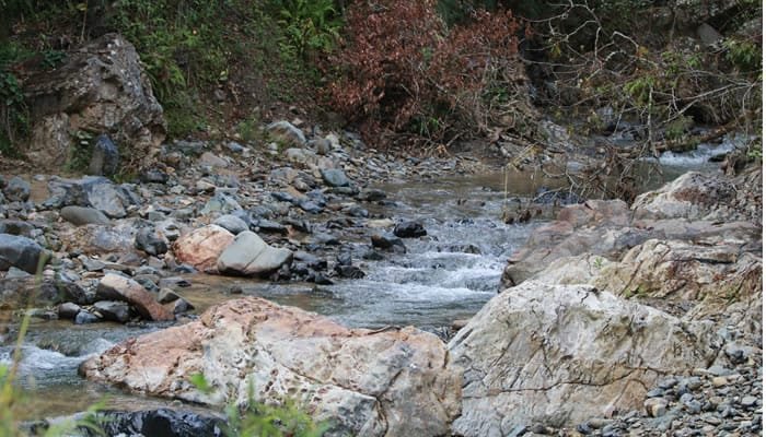 Entregado proyecto para preservar cuencas hidrográficas