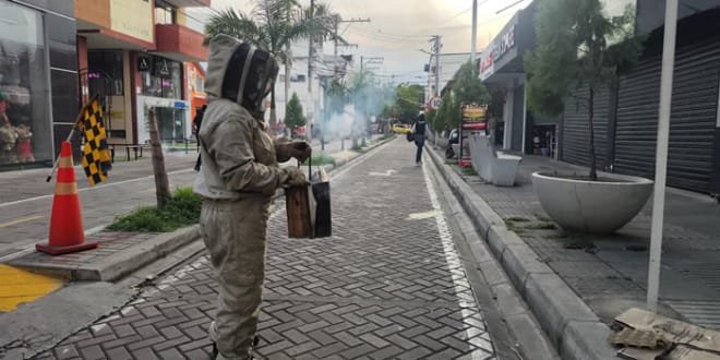 Controlado ataque de abejas en Neiva