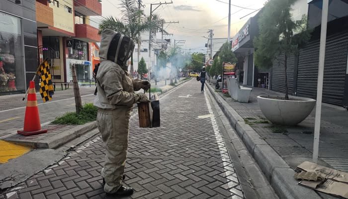 Controlado ataque de abejas en Neiva
