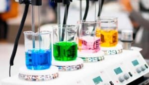 Campaña para evitar el uso de animales en experimentos de cosméticos