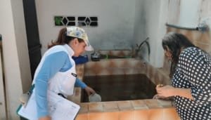 Desciende el dengue en Neiva
