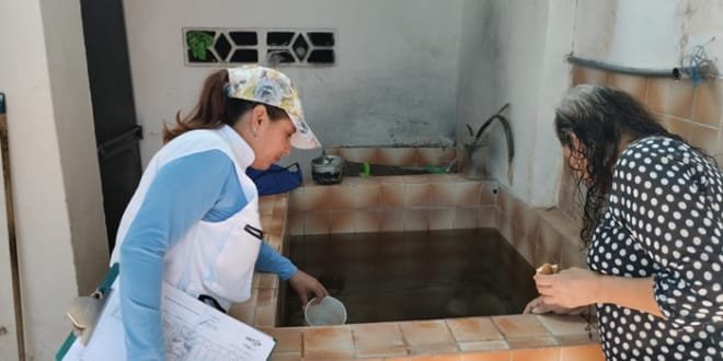 Desciende el dengue en Neiva