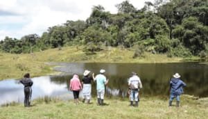 Huilenses pueden presentar sus proyectos ambientales