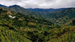 Las apuestas ambientales del Huila en la COP 16