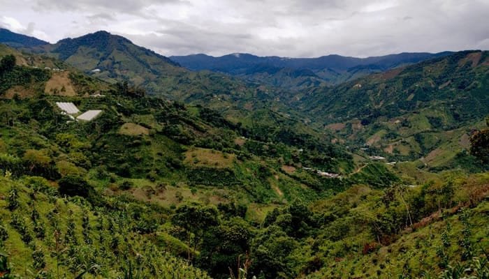 Las apuestas ambientales del Huila en la COP 16