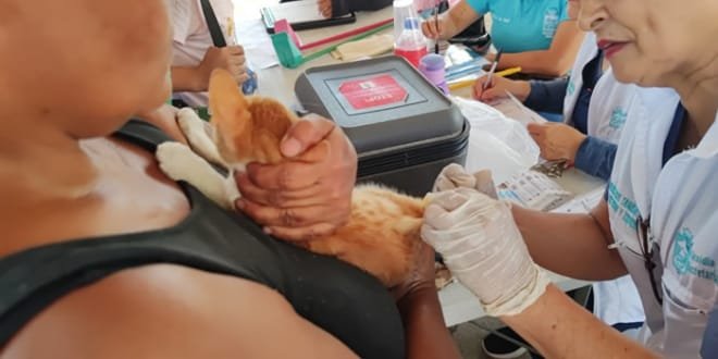 Campaña de vacunación de mascotas en la Comuna 10