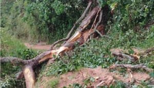 Lluvias en Huila: municipios afectados y vías bloqueadas
