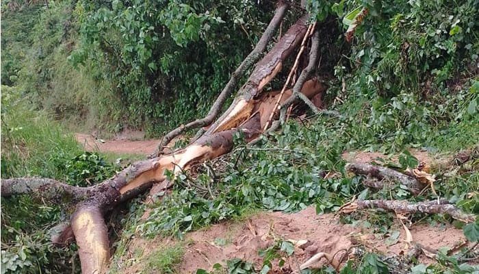 Lluvias en Huila: municipios afectados y vías bloqueadas