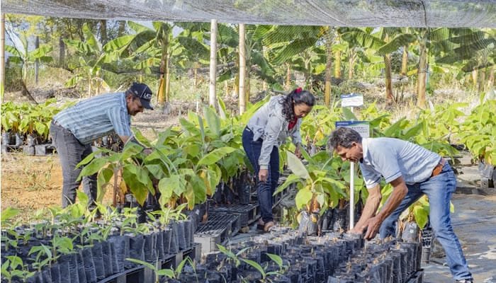 Huila y UPRA Unen Fuerzas para Potenciar el Sector Agropecuario