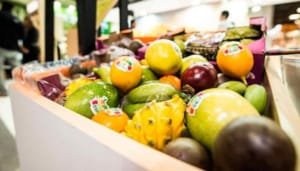 Bioeconomía: La Apuesta del Gobierno para un Futuro Sostenible