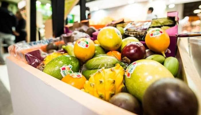 Bioeconomía: La Apuesta del Gobierno para un Futuro Sostenible