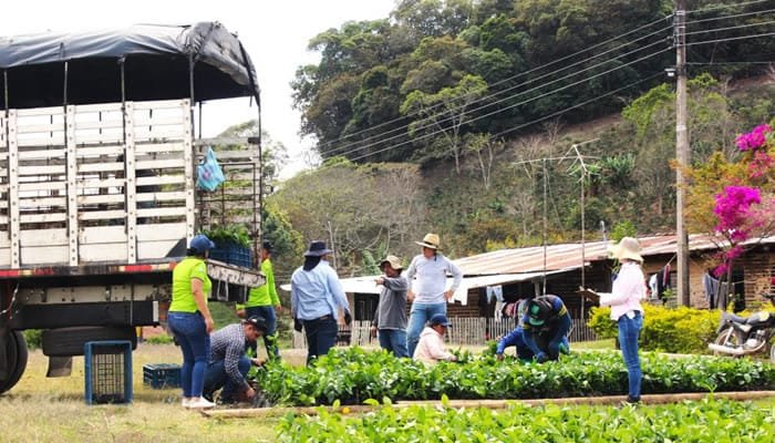 Proyecto nacional invierte en caficultura y jóvenes indígenas en Huila