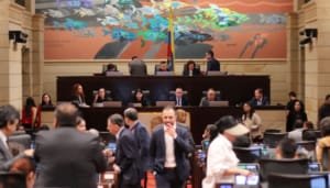 Cámara preocupada por situación de la salud mental
