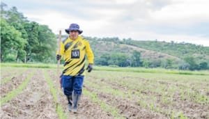 Huila invierte $90.000 millones en el agro 2024-2027