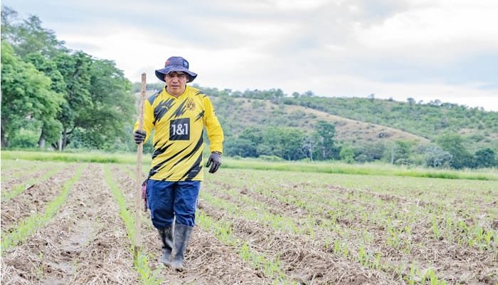 Huila invierte $90.000 millones en el agro 2024-2027