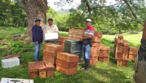 Educación ambiental en acción: 130 proyectos en Huila