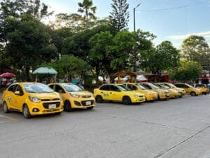 Garzón también tendrá prima navideña para taxistas