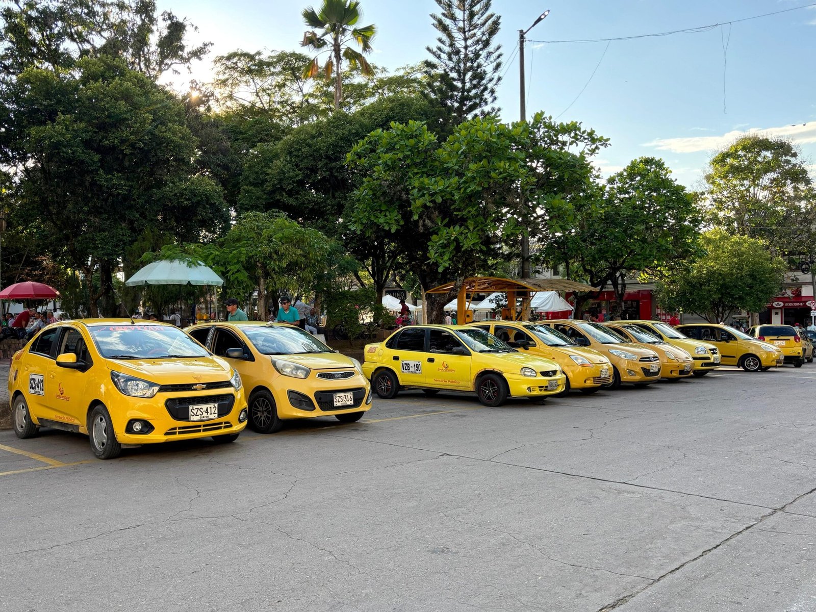 Garzón también tendrá prima navideña para taxistas