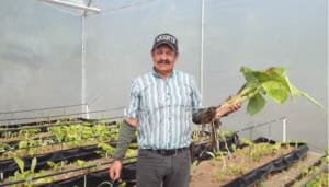 Plan de Extensión Agropecuaria del Huila impactará a 17.200 productores