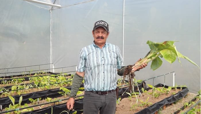 Plan de Extensión Agropecuaria del Huila impactará a 17.200 productores