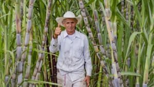 Financiamiento rural: Gobernación del Huila subsidia hasta el 50% del capital