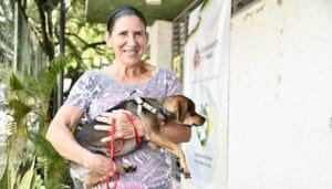 Jornadas de esterilización animal en el Huila